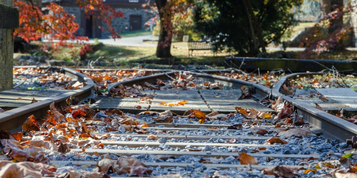 The Fallacy of Always Wanting to Do More